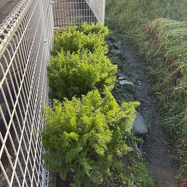 ritsukoさんの実例写真