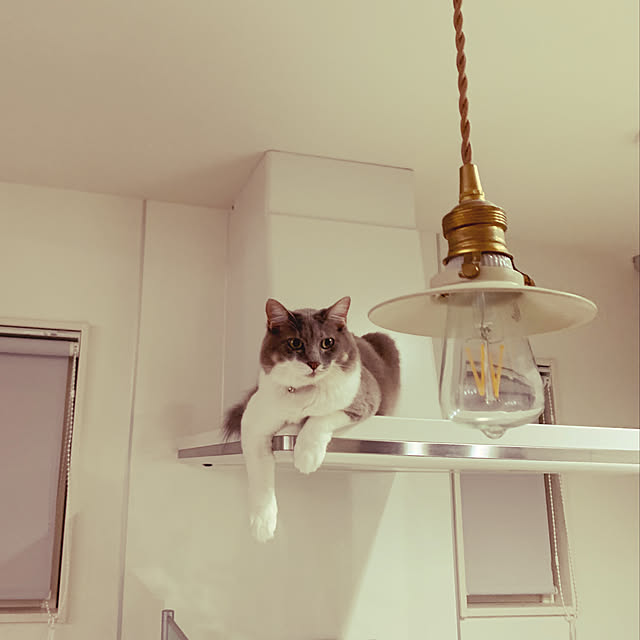 aimmさんの実例写真