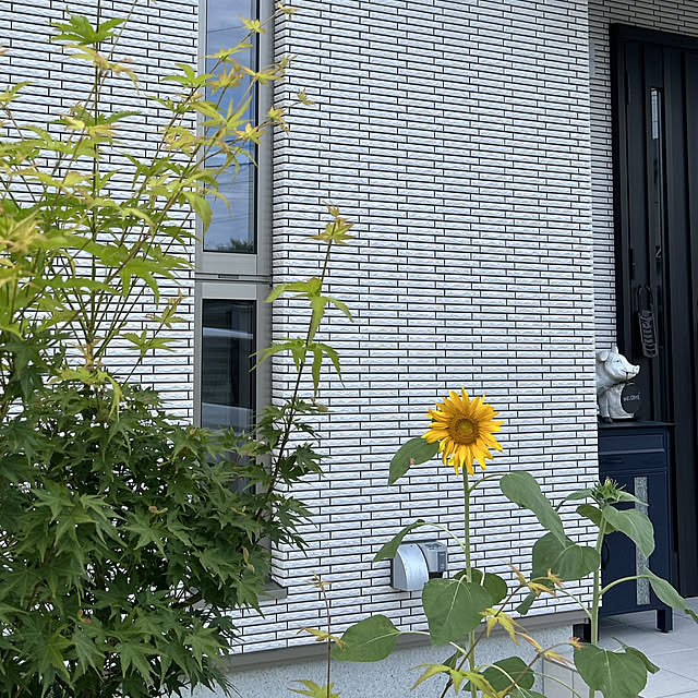 yunyumさんの部屋