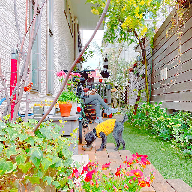 risaさんの実例写真