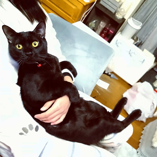 Tさんの実例写真