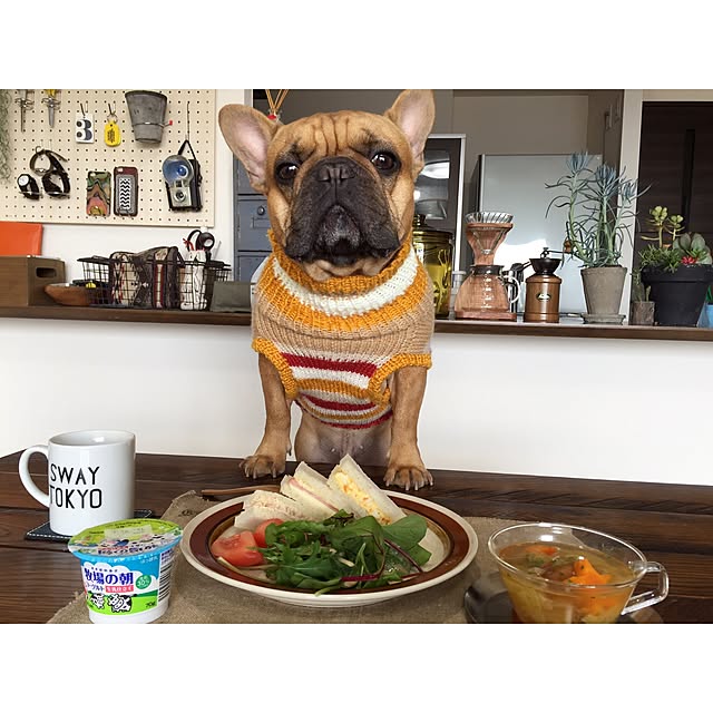 eriさんの実例写真