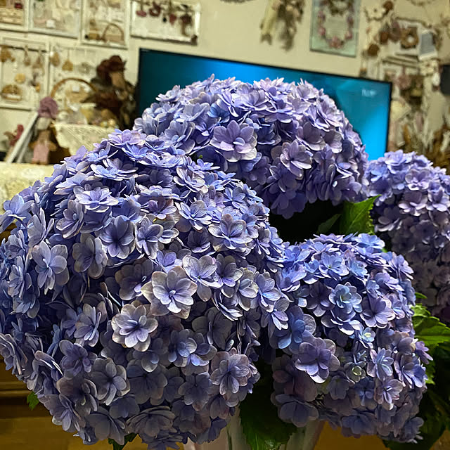 ChiCoさんの部屋