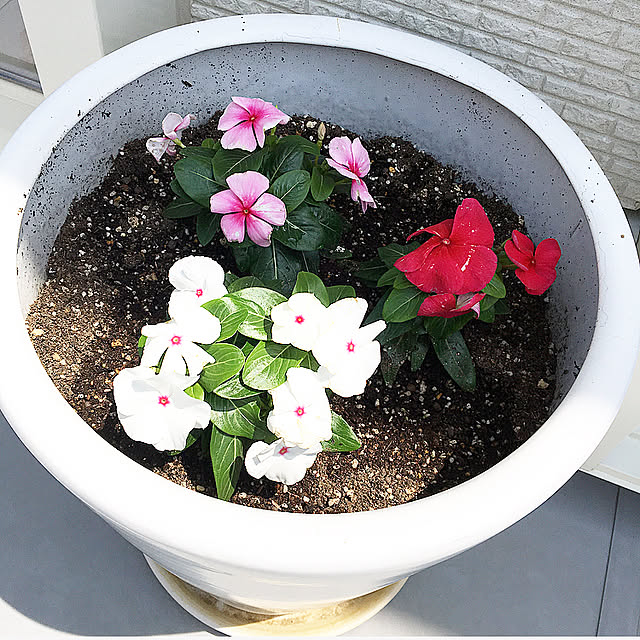 4nさんの実例写真