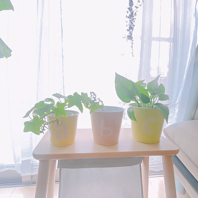 akiko-ovさんの部屋