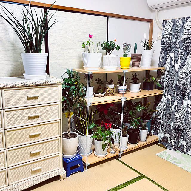 hanachanさんの部屋