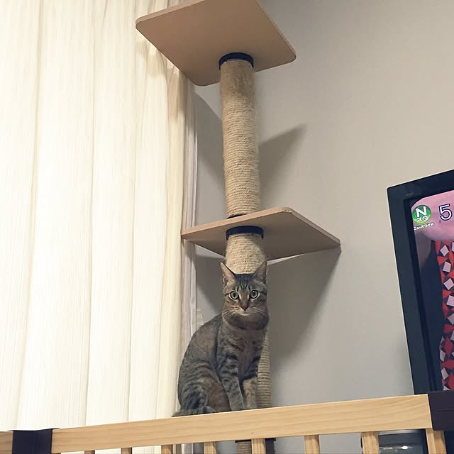 yuki0511さんの実例写真