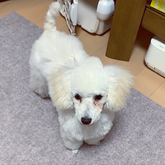 BUNさんの実例写真