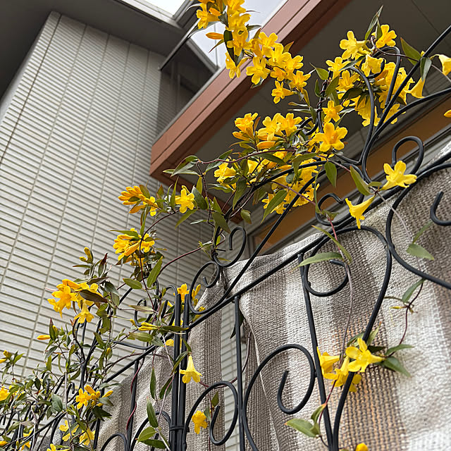 megmagさんの部屋