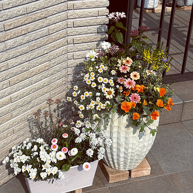 maimai0110さんの部屋