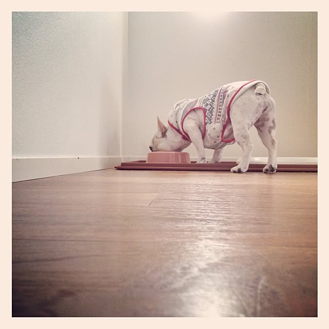 Komanechi.aさんの実例写真