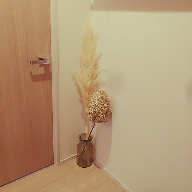 tomoさんの実例写真