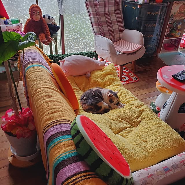 kumutanさんの実例写真