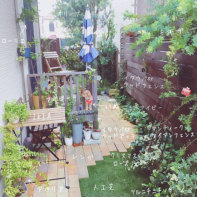 risaさんの実例写真