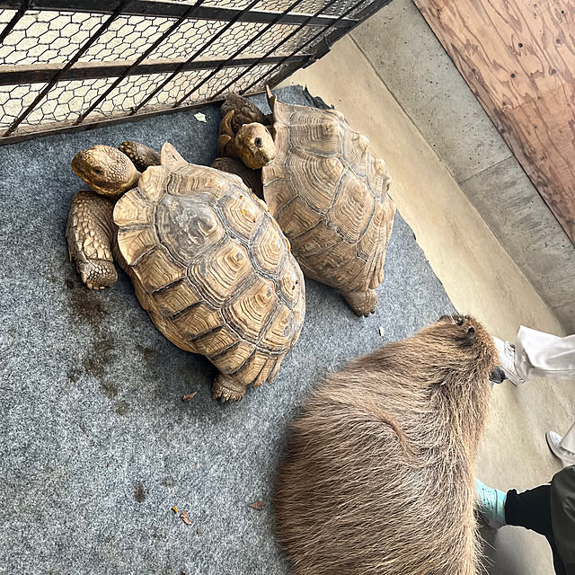 a_familyさんの部屋