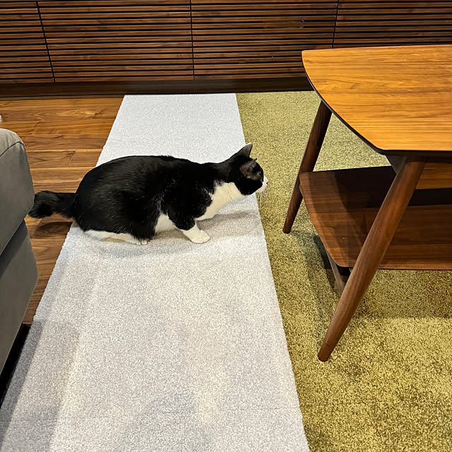 porinさんの部屋