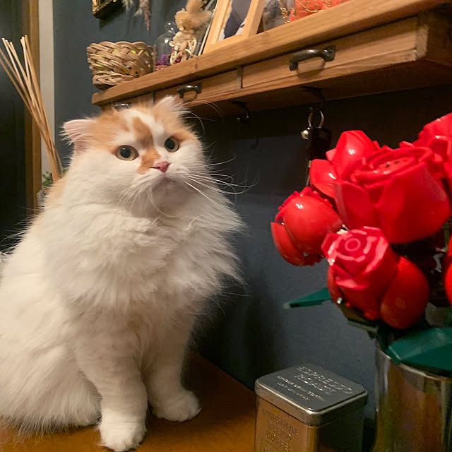 keiさんの部屋