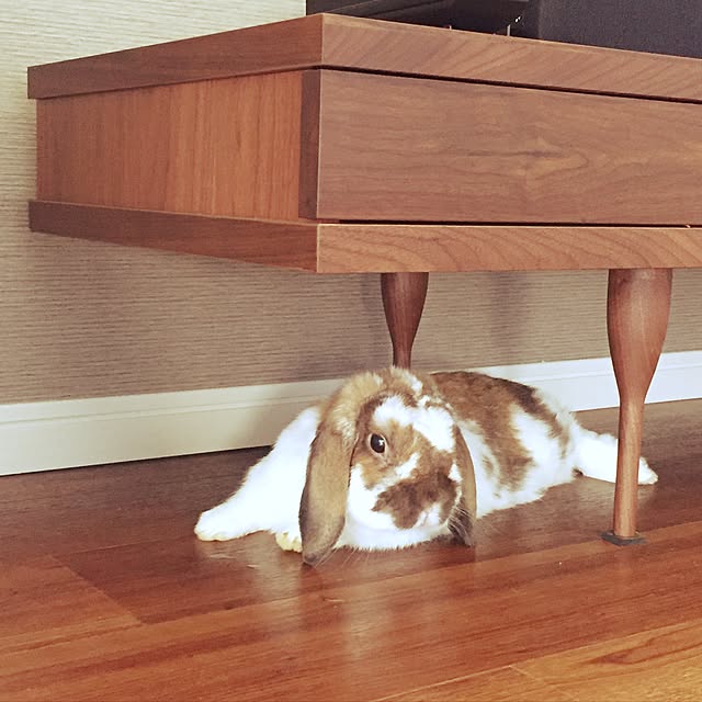 na2meさんの実例写真