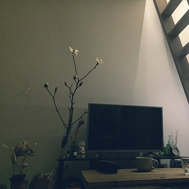penyrainさんの実例写真