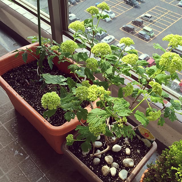 eriy0711さんの実例写真