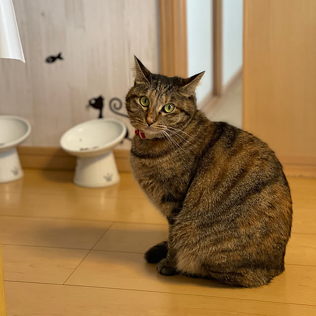 chiiさんの実例写真