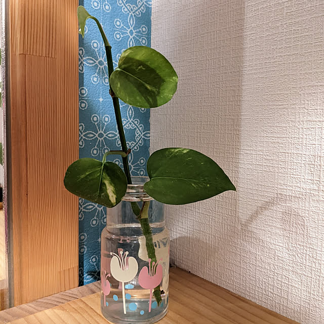 jacky-m-さんの実例写真