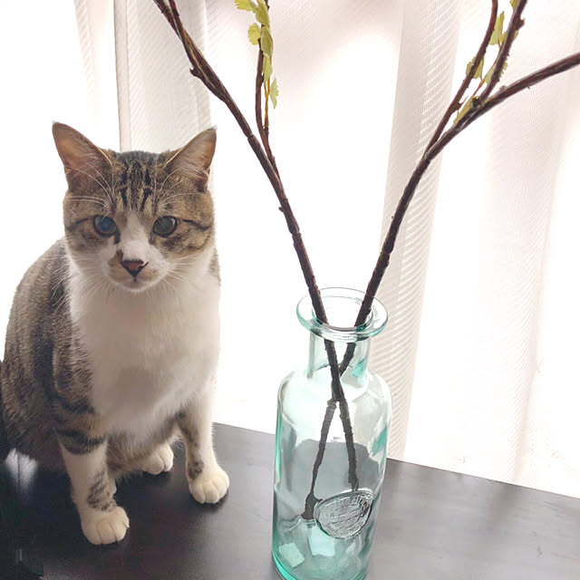 necomaru.comさんの実例写真