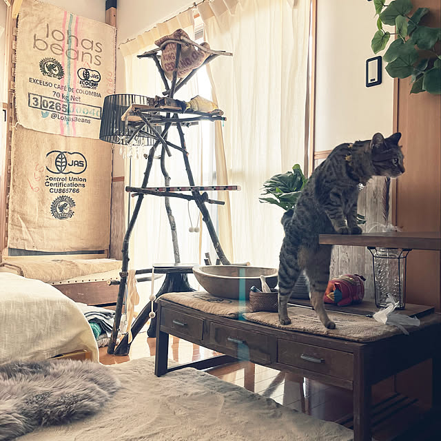 Mさんの実例写真