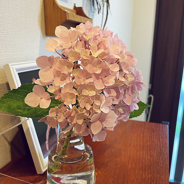 yumi.coroさんの実例写真
