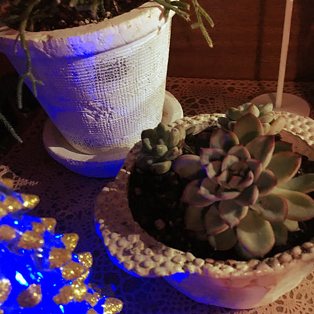 mimichankさんの実例写真