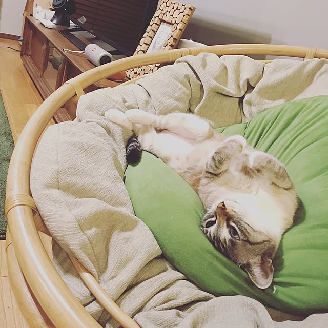 timaさんの実例写真