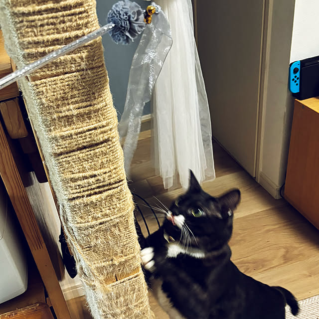 masamasaさんの部屋