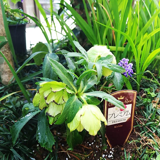 katさんの実例写真