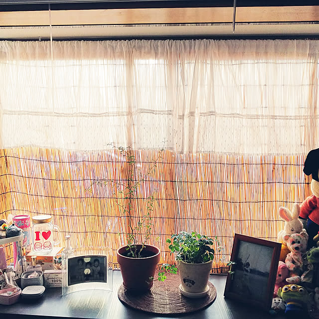 katuさんの実例写真