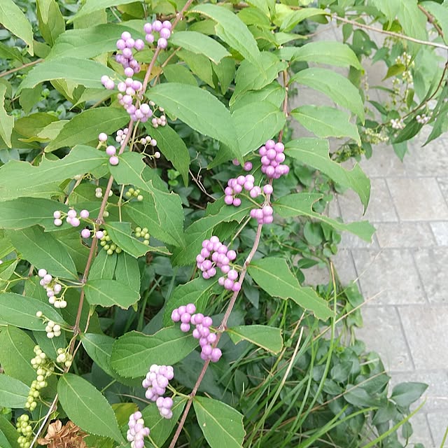 Rさんの部屋