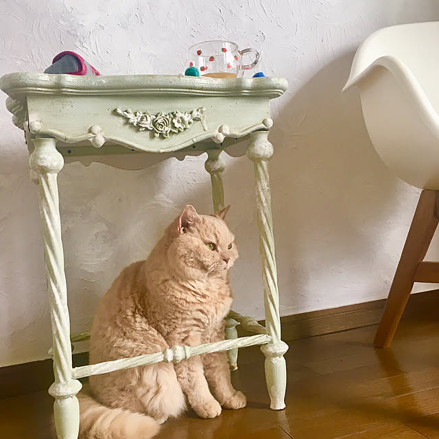 naokoさんの部屋