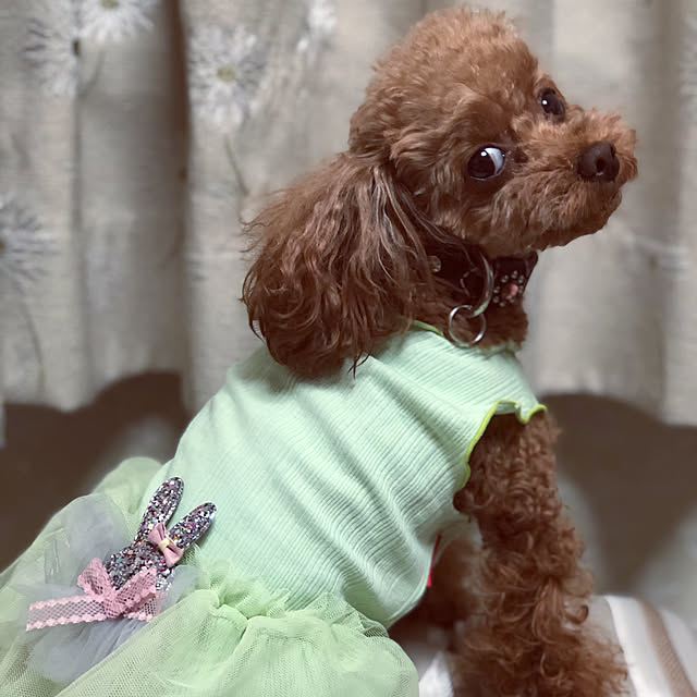 Tiaraさんの実例写真
