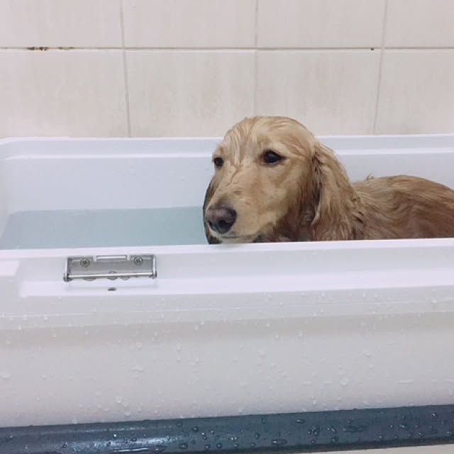 popoさんの実例写真