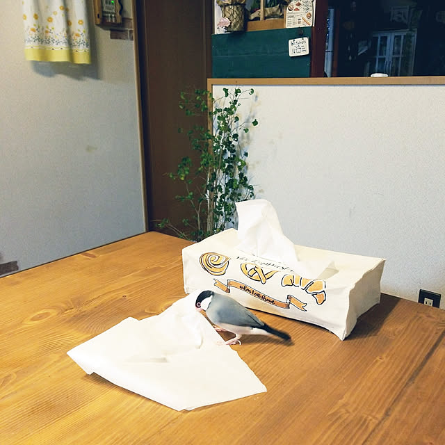miiさんの実例写真