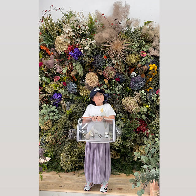 実例写真