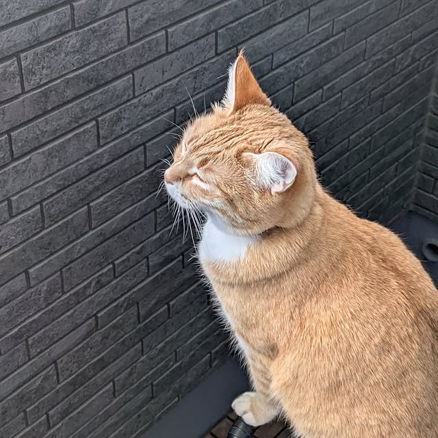 minnieさんの部屋