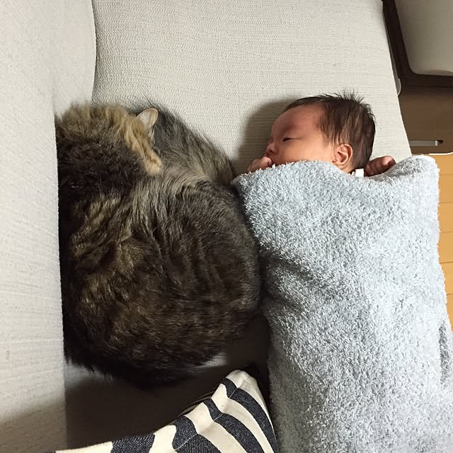 yuki0511さんの実例写真