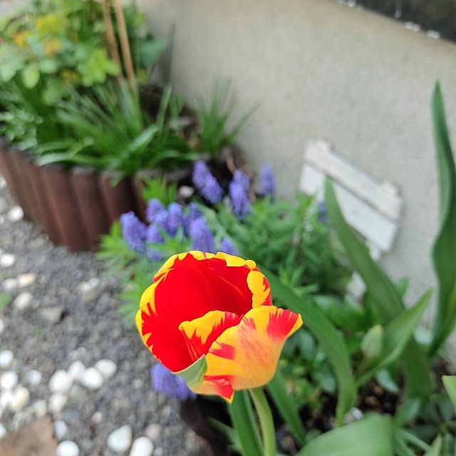 kiraさんの部屋