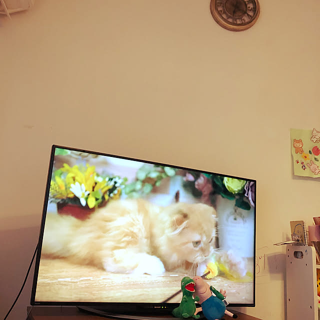 piyolandさんの実例写真