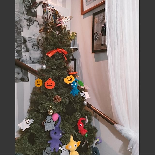 napiさんの実例写真