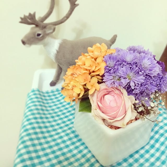 Suriさんの実例写真