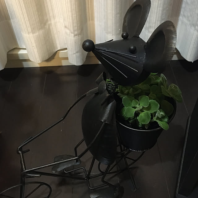 akiemiiさんの実例写真
