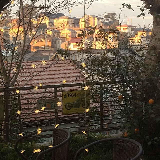 ayuさんの実例写真