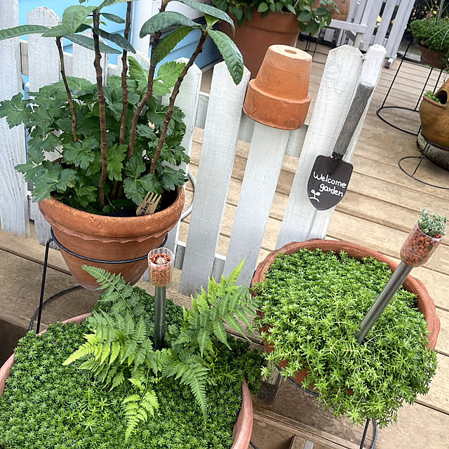 Ohigeさんの実例写真