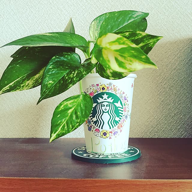TOKKOさんの実例写真